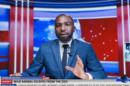 Photo for Wild creature breaks from zoo, raises concern in the region and rallies officials to protect the public. Newsroom live transmission with news anchor delivering stories and covering latest events. - Royalty Free Image
