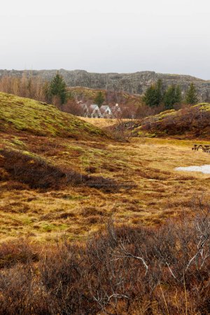 Foto de Parque nacional nórdico en Islandia con tierras altas y terrestres, pintorescas casas rurales junto al flujo del río en la zona de Thingvellir. Maravillosas características árticas para un paseo idílico en clima icelandés. - Imagen libre de derechos