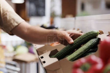 Photo for Trader fills up crates on zero waste shop shelves with homegrown decomposable vegetables from his greenhouse. Storekeeper restocks local neighborhood store with food items, close up shot on cucumbers - Royalty Free Image