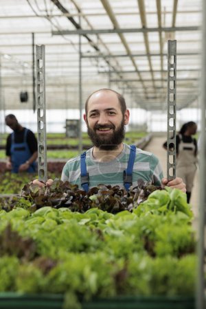 Photo for Portrait of cheerful farmer pushing cart full of natural locally harvested healthy organic nutritious leafy greens. Eco friendly sustainable zero waste greenhouse with negative co2 footprint - Royalty Free Image