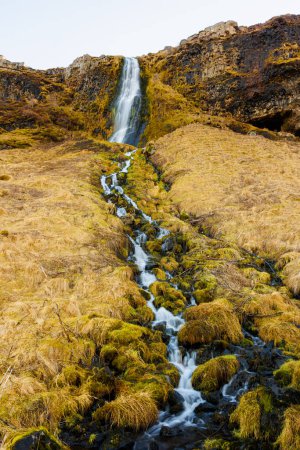 Téléchargez les photos : Près de la capitale islandaise, la rivière tombe sur une pente révélant la majestueuse cascade Seljalandsfoss. Magnifique cascade nordique dans un paysage glacé, décor scandinave naturel. - en image libre de droit