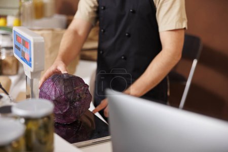 Photo for Male vendor holds and measures a big purple cabbage on weight scale, he also pushes some buttons checking the price. Caucasian storekeeper weighing fresh vegetables at checkout counter. - Royalty Free Image