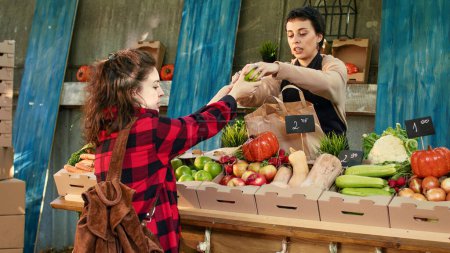 Young woman client smelling apples and shopping at farmers market, female buyer standing near stand choosing locally grown fresh organic fruits and vegetables. Visiting food marketplace.
