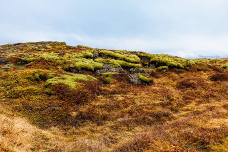 Foto de Magníficos prados y lugares de interés único para Islandia situado dentro de las colinas y valles de las tierras altas del parque nacional Thingvellir. Maravilloso paisaje icelandés en una magnífica ubicación rústica. - Imagen libre de derechos