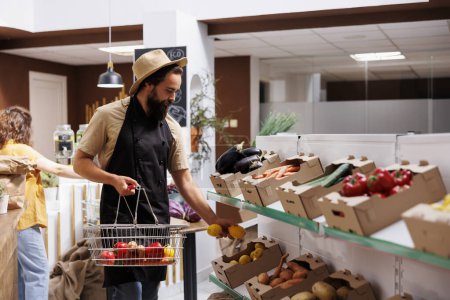 Verkäufer füllt Kisten in Supermarktregalen mit frisch geerntetem Gemüse aus dem eigenen Garten. Ladenbesitzer füllt lokalen Nachbarschaftsladen mit Bio-Lebensmitteln auf