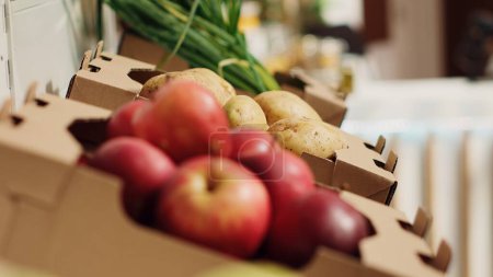 Großaufnahme von Bio-Obst und -Gemüse in den Regalen der Bauernmärkte. Frisch geerntete, pestizidfreie Lebensmittel im umweltbewussten Zero Waste Supermarkt