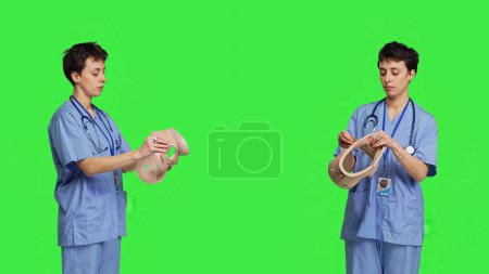 Téléchargez les photos : Spécialiste présentant col cervical utilisé pour la physiothérapie et le traumatisme après un accident ou une fracture, fond d'écran vert. Infirmière montre orthopédie orthèse pour aider avec blessure à la colonne vertébrale. Caméra B. - en image libre de droit