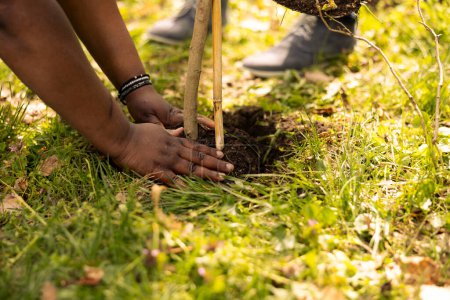Ehrenamtliche Männer und Frauen decken das Loch, indem sie einen Baum in den Wald pflanzen und so einen Beitrag zum Naturschutzprojekt leisten. Team von Freiwilligen leistet gemeinnützige Arbeit, um den Planeten zu retten. Nahaufnahme.