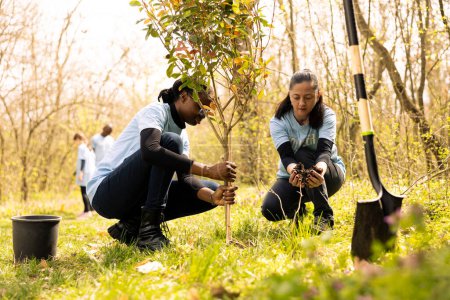 Ein Team von Umweltschützern gräbt Löcher, pflanzt Grün und pflanzt Bäume für die Wiederaufforstung in den Boden. Menschen, die freiwillige Arbeit leisten, um Naturschutzprojekte zu unterstützen, den Planeten zu retten.