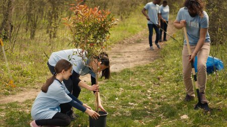 Team von Freiwilligen wächst den natürlichen Lebensraum in einem Wald, pflanzt Bäume und bewahrt die Natur, indem sie aktiv werden und kämpfen, um den Planeten zu retten. Aktivisten leisten gemeinnützige Arbeit. Kamera A.