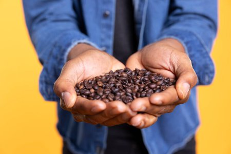 Photo for Coffee lover examining aromatic roasted beans against yellow background, promoting cold brew at a coffee shop or roastery. Enjoying freshness of delicious black seeds and grains. Close up. - Royalty Free Image