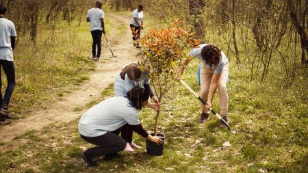 Klimaaktivisten pflanzen neue Bäume in einem Waldökosystem, graben Löcher und legen Setzlinge in den Boden. Freiwillige, die sich für den Natur- und Umweltschutz einsetzen. Kamera B.