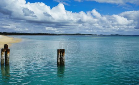 Photo for Cloudy day, view of old jetty post in the clear water at Seisia Australia - Royalty Free Image