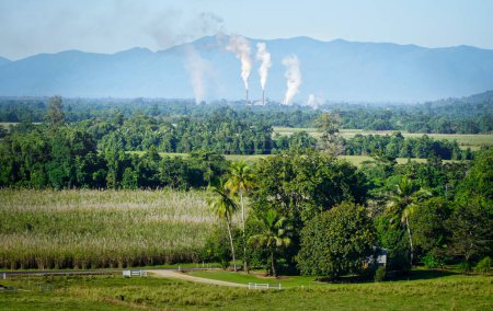 Photo for Agricultural landscape with sugarcane in a rural field. sugar mill pollution in the background in Tully Australia - Royalty Free Image