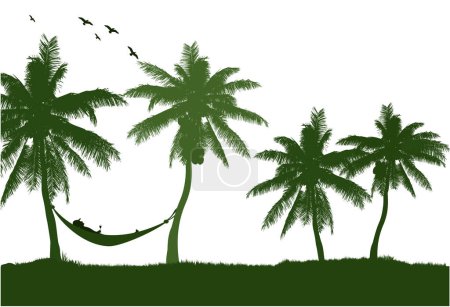 Illustration for Young person relaxing laying back in a hammock having a drink and enjoying life. Hammock under the coconut trees - Royalty Free Image