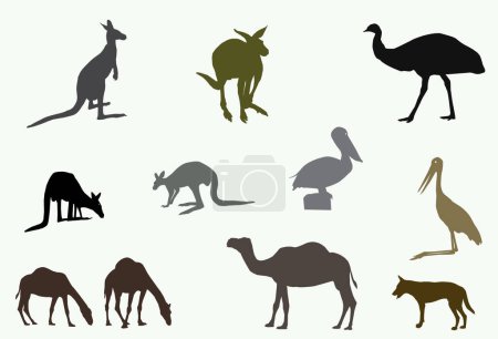 Téléchargez les illustrations : Kangourou emu pélican chameau dingo jabiru fait comme une silhouette - en licence libre de droit