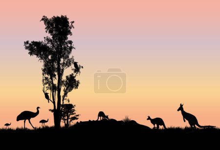 Illustration for Gum tree with kangaroos emus and kookaburra in tree and sunset background . Australian scene - Royalty Free Image