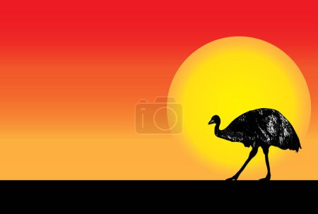 Téléchargez les illustrations : One large Australian emu silhouette with the moon and orange background - en licence libre de droit
