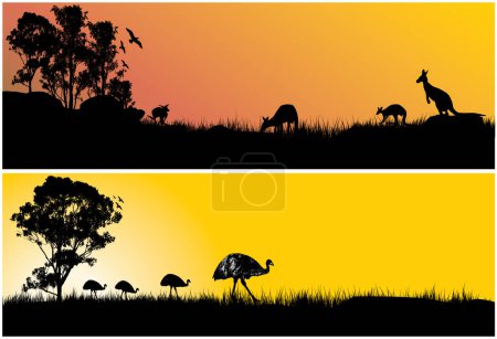 Téléchargez les illustrations : A set of two vectors of kangaroos and emus in the Australian outback sunset - en licence libre de droit
