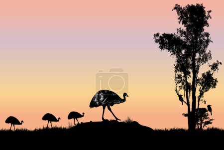 Téléchargez les illustrations : Emu mâle avec poussins et chewing-gum au coucher du soleil. deux kookaburra dans l'arbre - en licence libre de droit