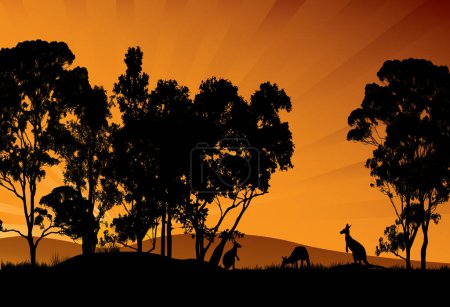 Silhouette von Gummibäumen und Kängurus, die sich im Sonnenuntergang ernähren