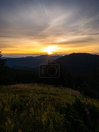 Foto de Puesta de sol en las montañas cubiertas de bosque de coníferas - Imagen libre de derechos