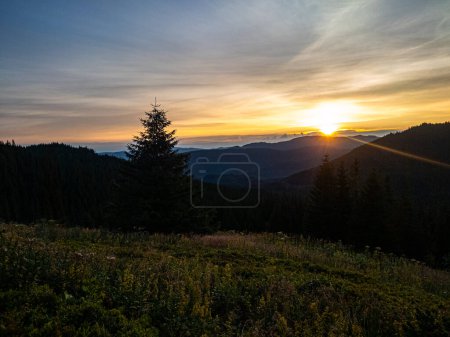 Foto de Un amanecer brillante en un área montañosa salvaje cubierta con un denso bosque de coníferas. - Imagen libre de derechos
