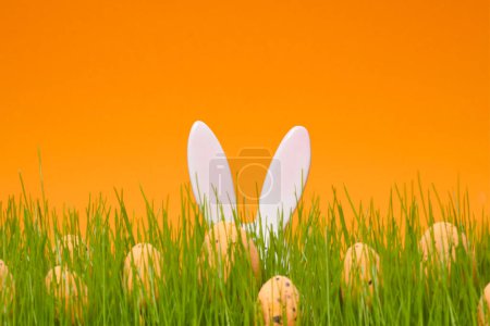 Foto de Conejito orejas de conejo y racimo de huevos en prado verde y fondo naranja. Plantilla para banner web, volante de fiesta o tarjeta de felicitación con espacio para copiar. Caza de huevos. - Imagen libre de derechos