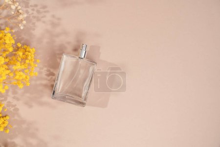 Téléchargez les photos : Transparent bottle of perfume on beige background. Fragrance presentation with daylight. Trending concept in natural materials with shadows. Womens and mens essence. - en image libre de droit
