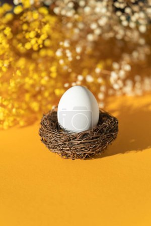 Nest with white egg with gypsophila yellow flowers. Minimal Easter concept with copy space for text.