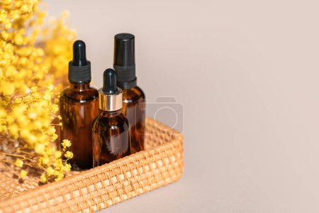 Téléchargez les photos : Amber bottles with dropper pipette in a wicker basket. Beige background with daylights. Skincare serum or essential oil natural cosmetic. Beauty concept for face and body care. - en image libre de droit