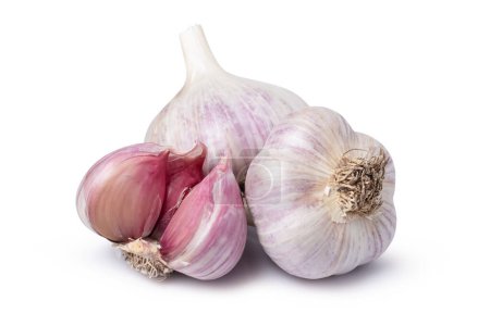 Photo for Isolated garlic. Raw whole garlic isolated on white background. - Royalty Free Image
