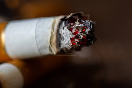Foto de Colillas de cigarrillo sobre fondo rgey de cerca. - Imagen libre de derechos