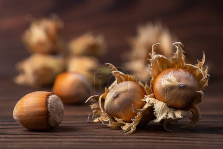Photo for Organic fresh hazelnut on wooden background close up. - Royalty Free Image