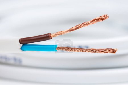 Foto de Primer plano de un cable eléctrico sobre un fondo blanco
. - Imagen libre de derechos