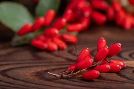 Berberitze, Berberis vulgaris, Zweig mit natürlichen frischen roten Beeren auf hölzernem Hintergrund. Rote reife Beeren und bunte rote und gelbe Blätter auf Berberiszweig mit grünem Hintergrund