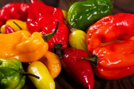 Foto de Montón colorido de pimientos orgánicos en el mercado: verduras rojas, verdes y amarillas - Imagen libre de derechos