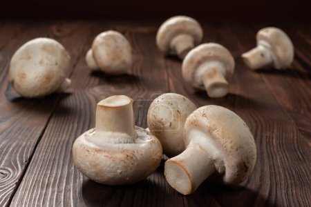 Photo for Porcini champignon mushrooms on a wooden background close-up, - Royalty Free Image