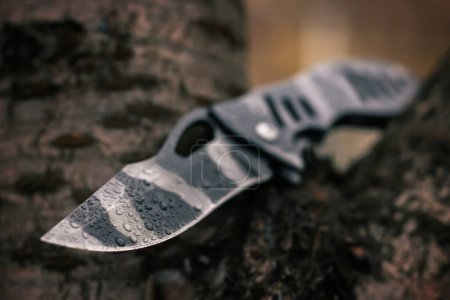 Wet, military tactical knife is stuck trunk fallen tree in the forest.