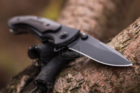 military tactical knife on tree in the forest.