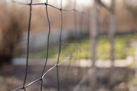 Metal wire mash grid fence outdoor. Close up shot, green background
