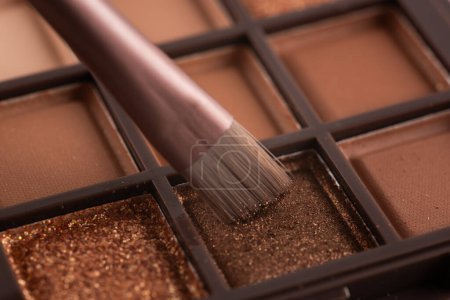 Photo for Natural colored eye shadow makeup palette with brush. Woman cosmetic and beauty product, eige color eyeshade pattern, - Royalty Free Image