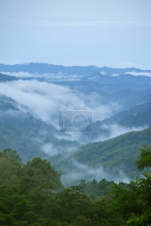 Nebelschwaden schweben über den Bergen