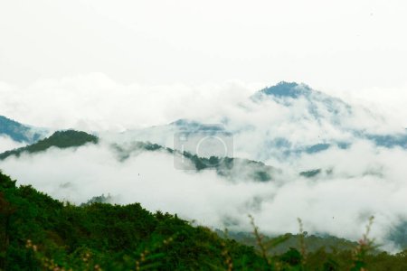 Des nuages brumeux flottent au-dessus des montagnes