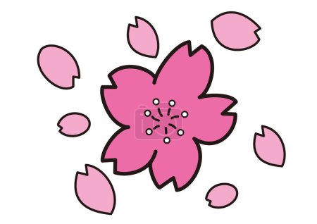 Téléchargez les photos : Une seule fleur de cerisier et des pétales éparpillés - en image libre de droit