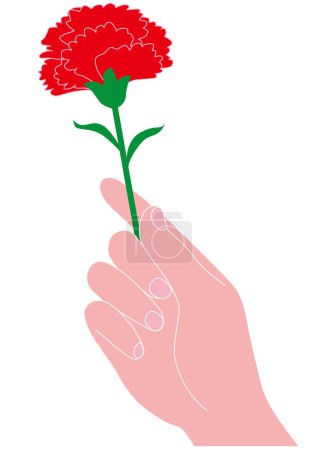 Illustration for Hand holding a carnation for Mother's Day gift - Royalty Free Image