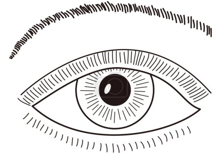 Téléchargez les illustrations : Plan rapproché dessin de l'œil humain - en licence libre de droit