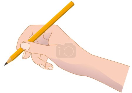 Téléchargez les photos : Gros plan de la main tenant un crayon - en image libre de droit