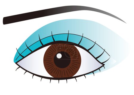 Téléchargez les illustrations : Gros plan des yeux d'une femme avec maquillage - en licence libre de droit