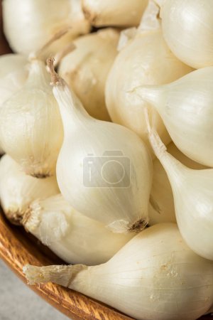 Téléchargez les photos : Oignons de perles biologiques blancs crus en grappe - en image libre de droit